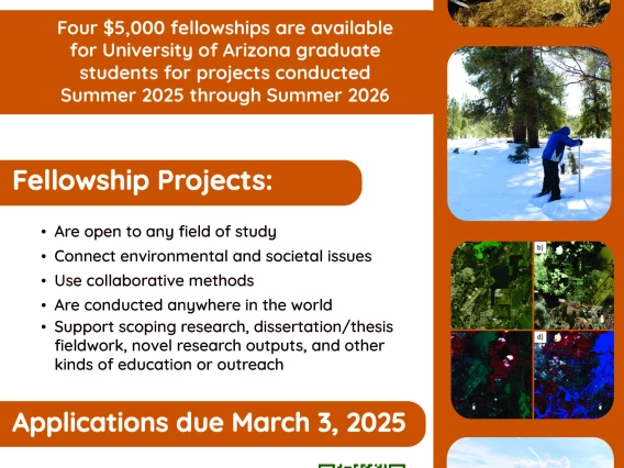 Flyer announcing the opening of applications for the 2025 E&S Fellows