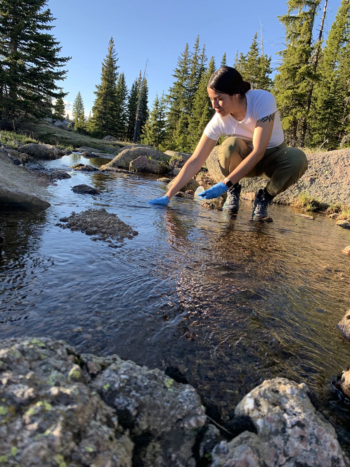 Collecting a sample near the headwaters of the Little Bighorn River.