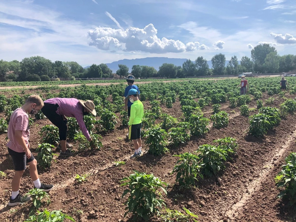 Children learning about chile farming in New Mexico.