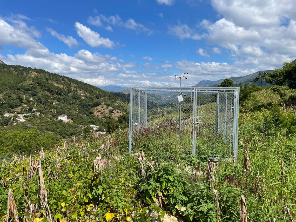 Picture of one of the weather stations we installed in the department of Chiquimula among a field of corn that has been bent over to dry out before harvest.