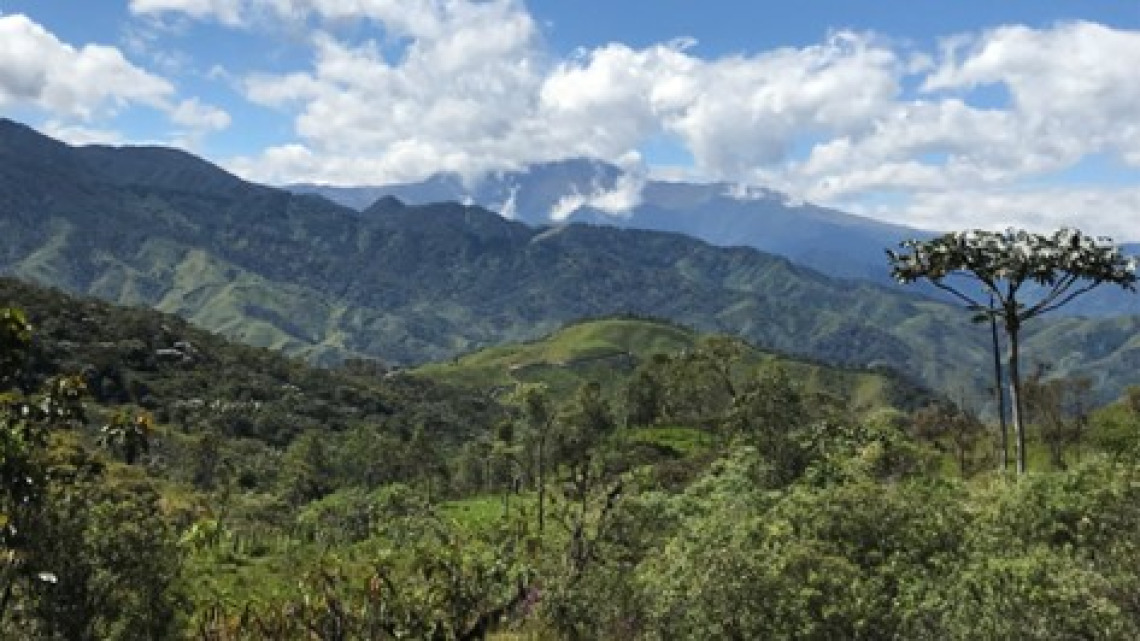 The view from Diego’s porch