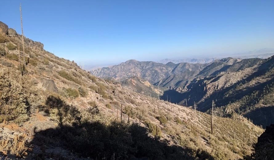 Image of the Chiricahua Mountains in southeast Arizona, recovering after a wildfire. The Chiricahua Mountains are one of the sky islands managed by the Coronado National Forest.