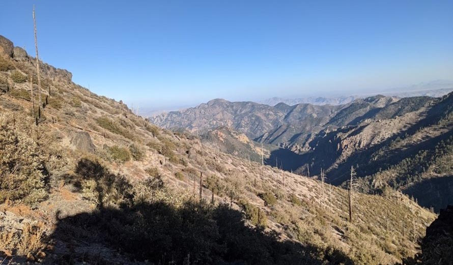 Image of the Chiricahua Mountains in southeast Arizona, recovering after a wildfire. The Chiricahua Mountains are one of the sky islands managed by the Coronado National Forest.