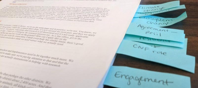 After transcribing the interviews, the transcriptions were coded by broad themes in RQDA (Qualitative Data Analysis in R) for further analysis.