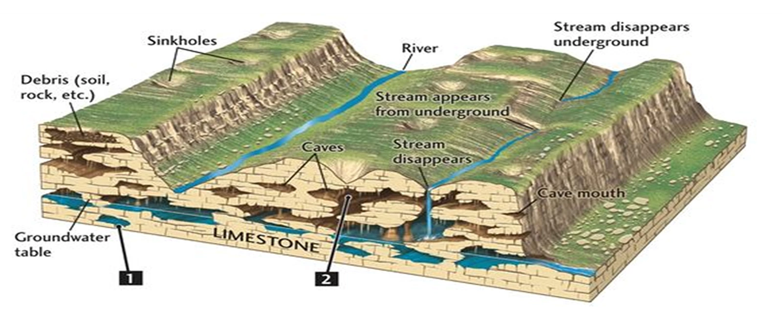 Features of karst groundwater systems.