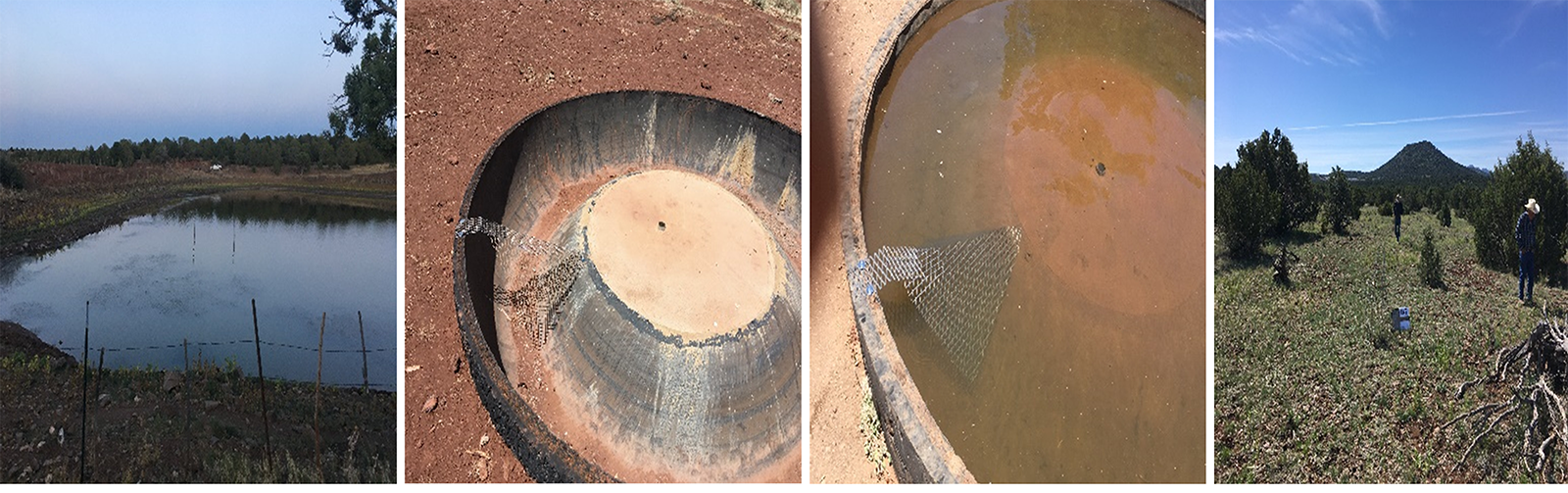 On-farm water management practices: L-R - rainwater harvesting, recycled tires as water troughs, and reforestation.