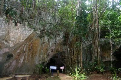 Karst in Cockpit Country, Jamaica