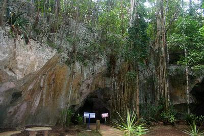 Karst in Cockpit Country, Jamaica