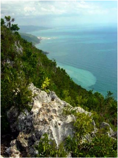 Karst in Cockpit Country, Jamaica