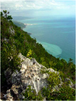 Karst in Cockpit Country, Jamaica